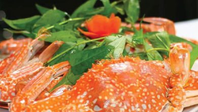 Lợi ích của các món hấp Lợi ích của các món hấp