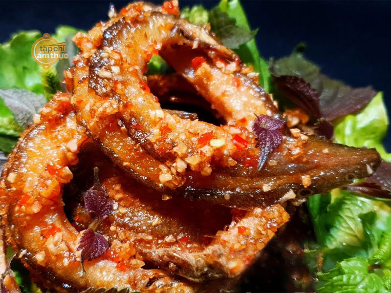 Món ăn ngon với cá chạch và các cách chế biến