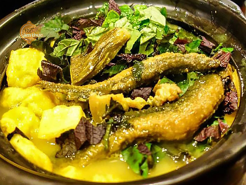 Món ăn ngon với cá chạch và các cách chế biến