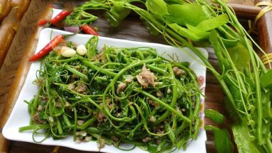 Rau Bò Khai - Loại rau rừng đặc sản của miền núi Tây Bắc