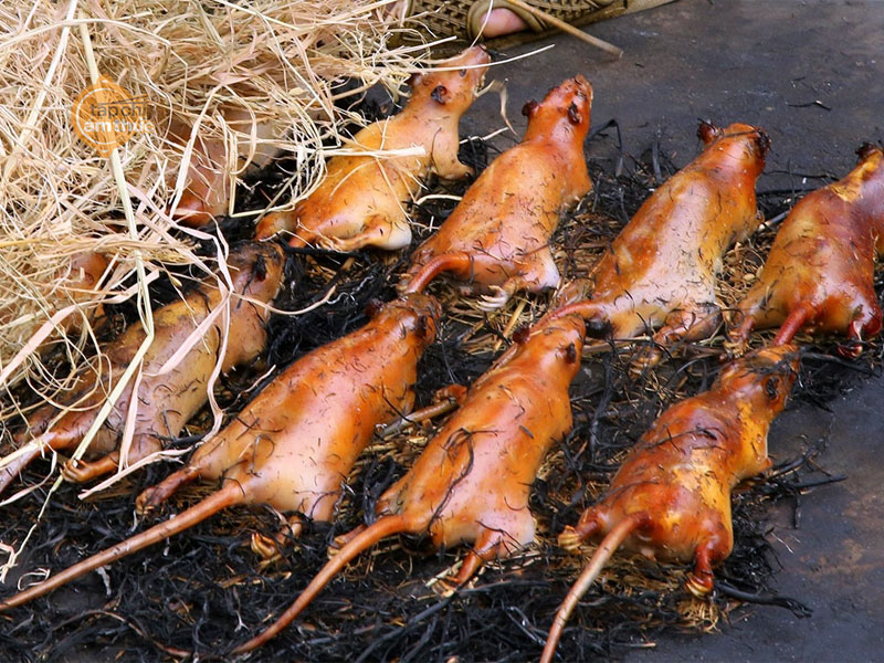 Cỗ thịt chuột Đình Bảng - Bắc Ninh