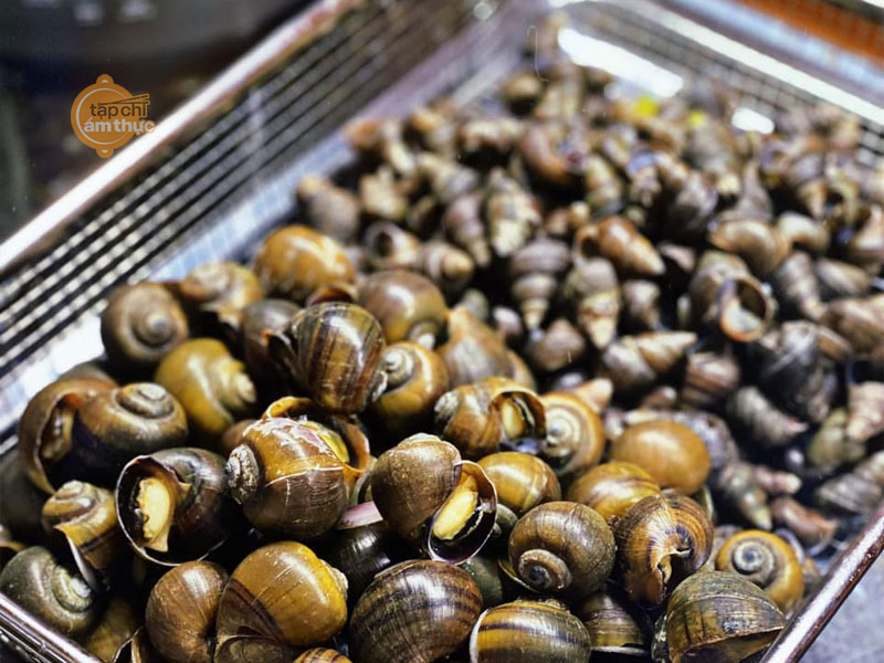 Món bún ốc hấp dẫn cùng gia đình cuối tuần Món bún ốc hấp dẫn cùng gia đình cuối tuần