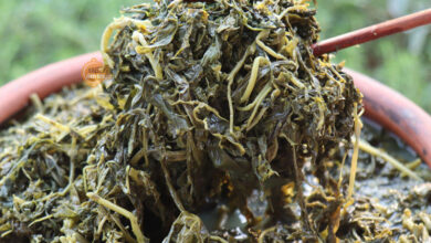 Rau sắn muối chua món ăn mộc mạc dân dã Rau sắn muối chua món ăn mộc mạc dân dã