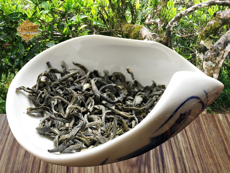 Trà Shan Tuyết và những điều độc đáo Trà Shan Tuyết và những điều độc đáo